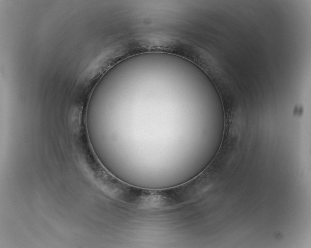 X0000112840695200908211241