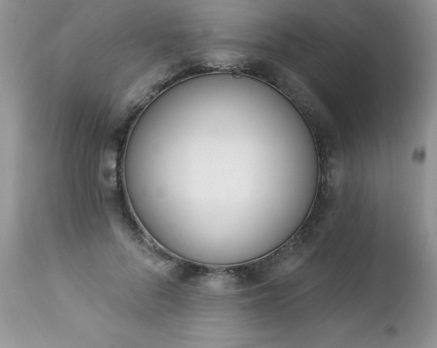 X0000112840696200908211241