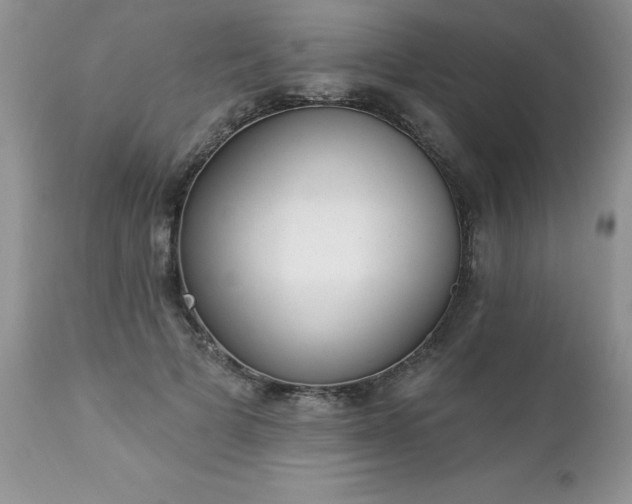 X0000112840697200908211241