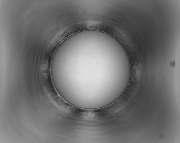 X0000112840698200908211241