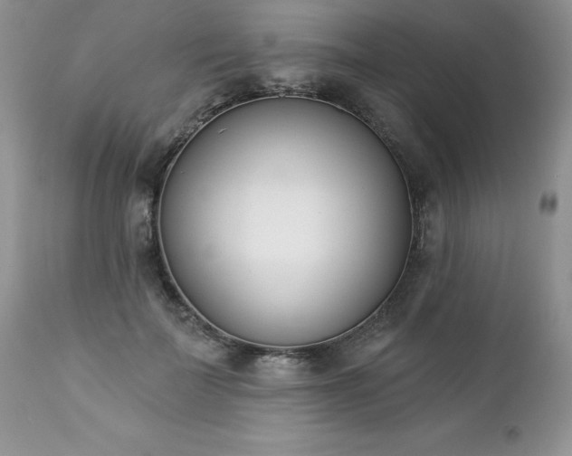 X0000112840699200908211241