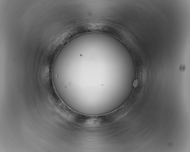 X0000112840700200908211241