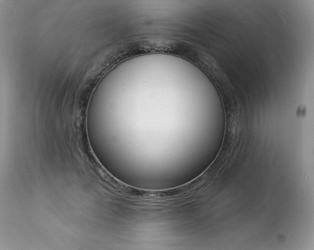 X0000112840701200908211241