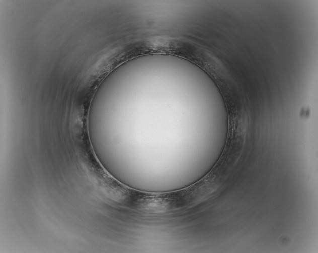 X0000112840702200908211241