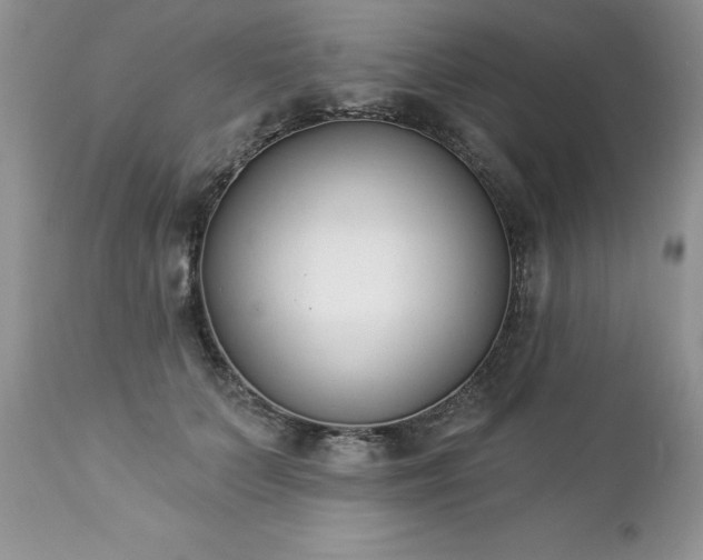 X0000112840703200908211241