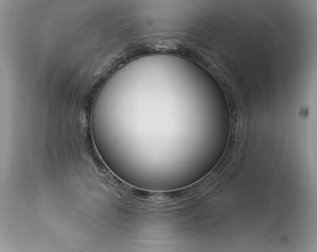 X0000112840704200908211241