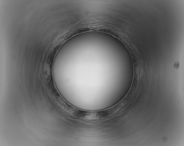 X0000112840705200908211241