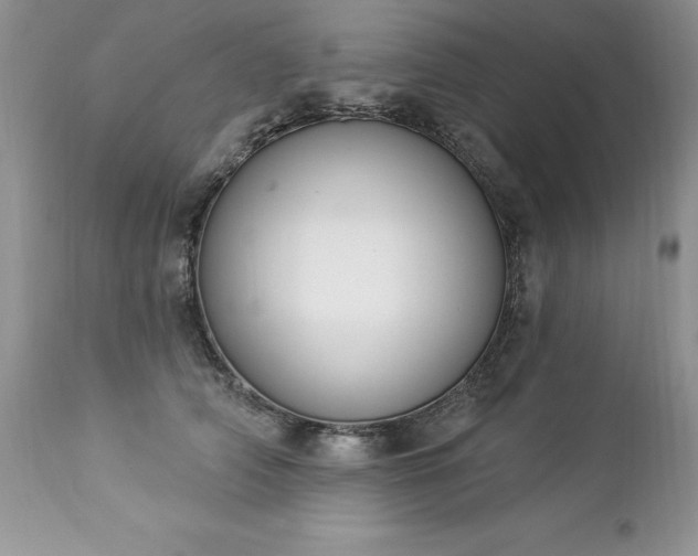 X0000112840706200908211241