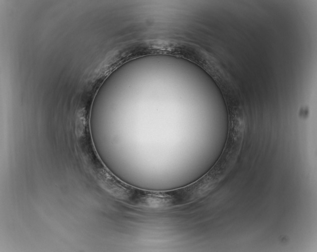 X0000112840707200908211241