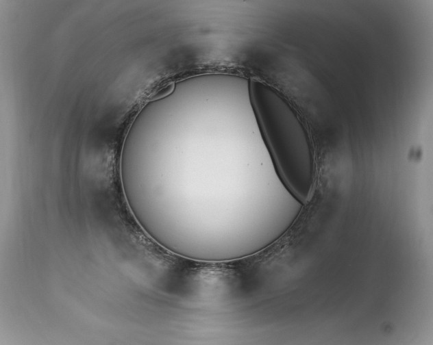 X0000112840708200908211241