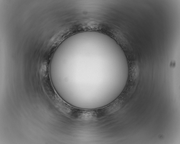 X0000112840709200908211241