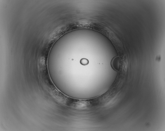 X0000112840711200908211241