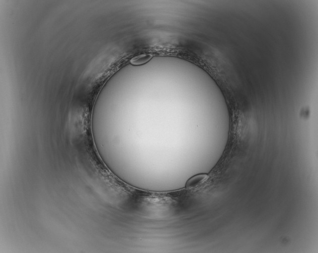 X0000112840712200908211241