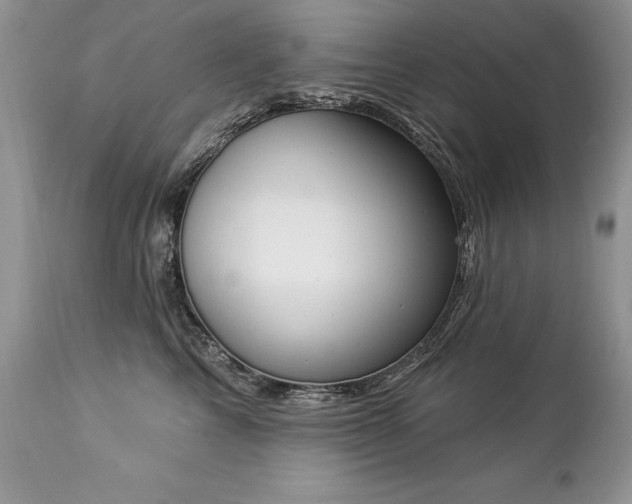 X0000112840713200908211241