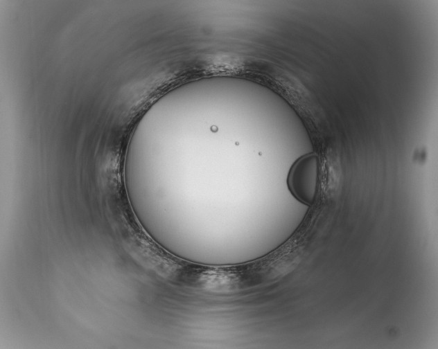 X0000112840714200908211241