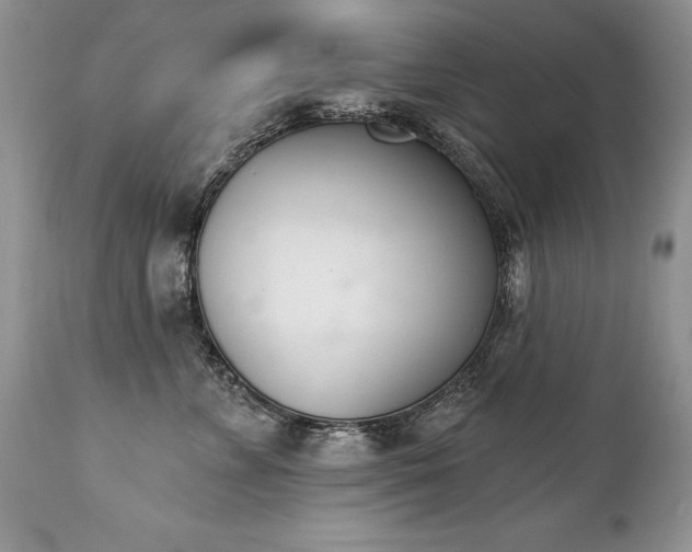 X0000112840715200908211241