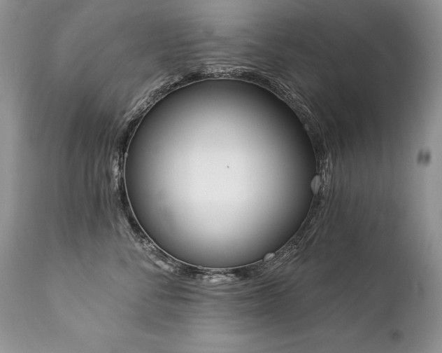 X0000112840716200908211241