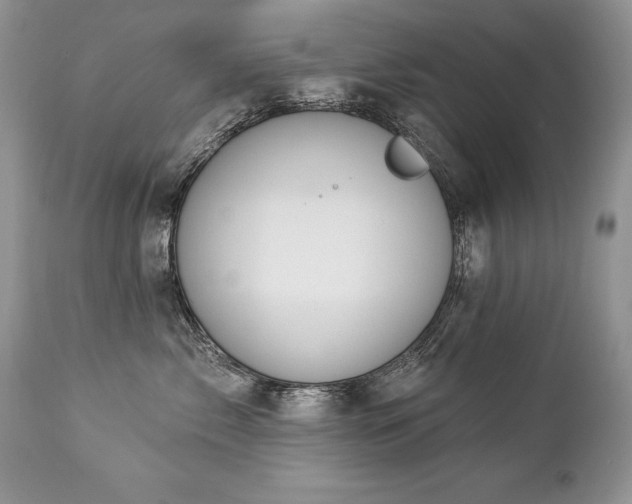 X0000112840717200908211241