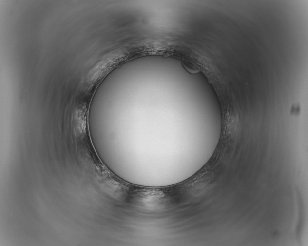 X0000112840719200908211241