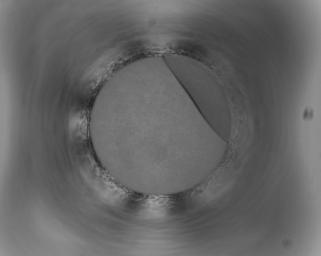 X0000112840720200908211241