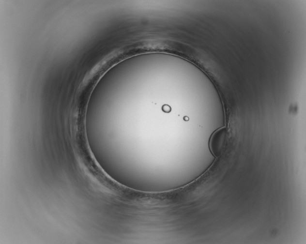 X0000112840722200908211240