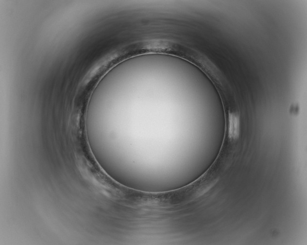 X0000112840723200908211240