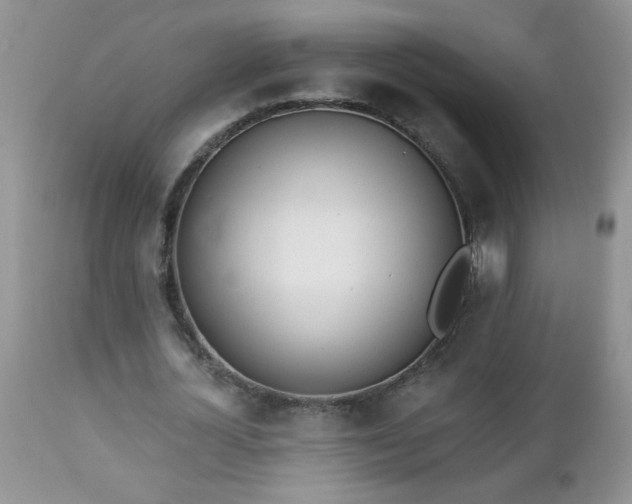 X0000112840724200908211240