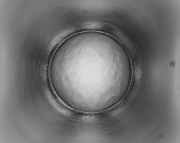 X0000112840725200908211240