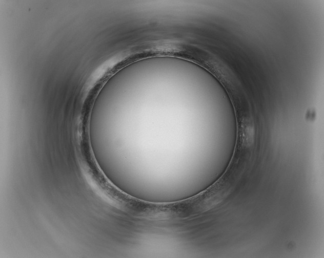 X0000112840726200908211240