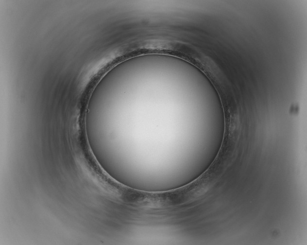 X0000112840727200908211241