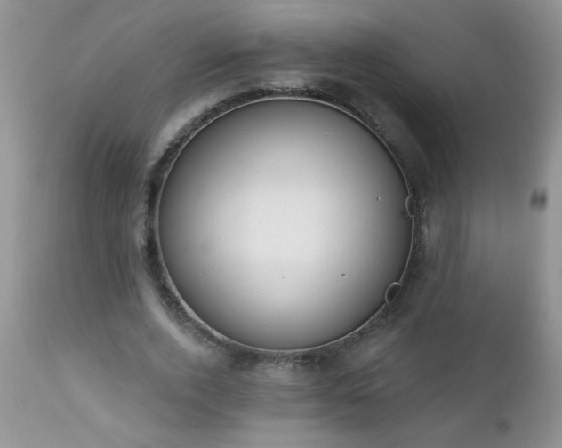 X0000112840728200908211241