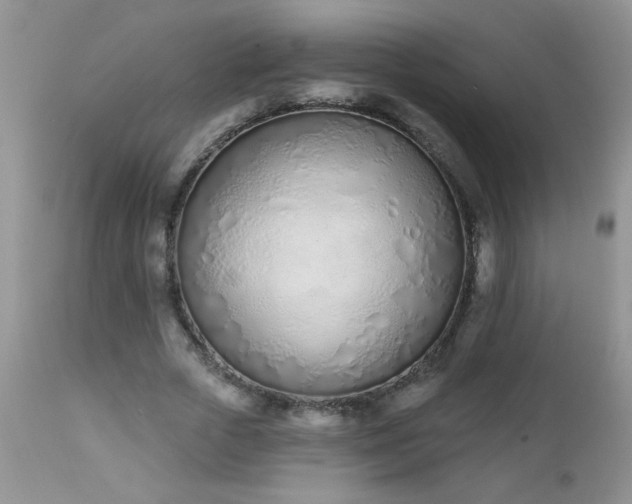 X0000112840729200908211241