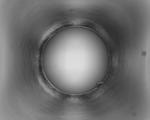 X0000112840730200908211241