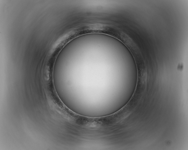 X0000112840731200908211241