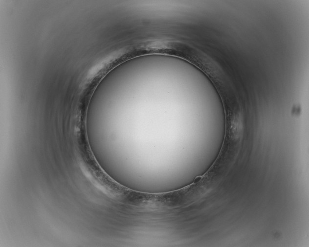 X0000112840732200908211241