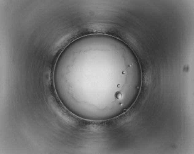 X0000112840733200908211241