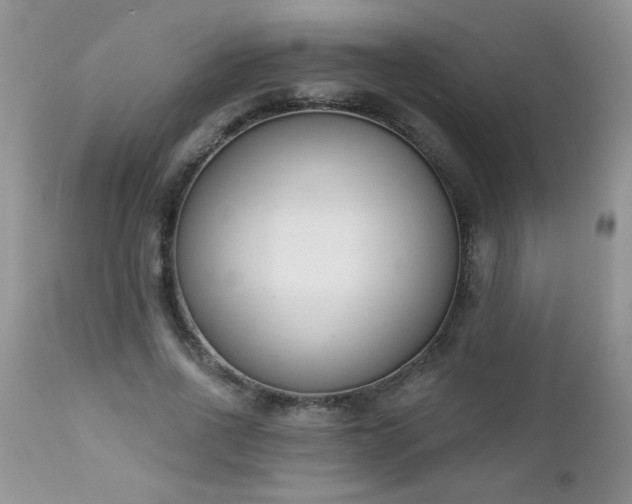 X0000112840734200908211241