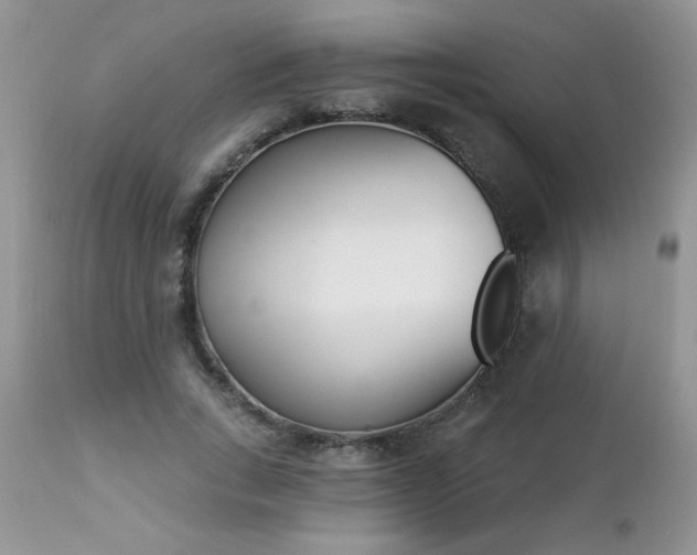 X0000112840735200908211241