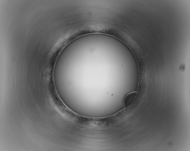 X0000112840736200908211241