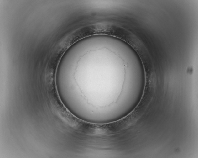 X0000112840737200908211241