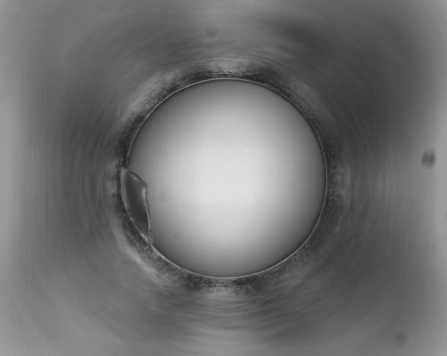 X0000112840738200908211241