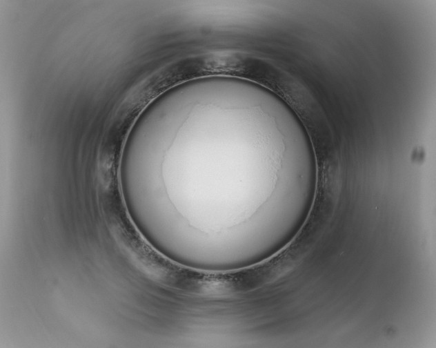 X0000112840741200908211241