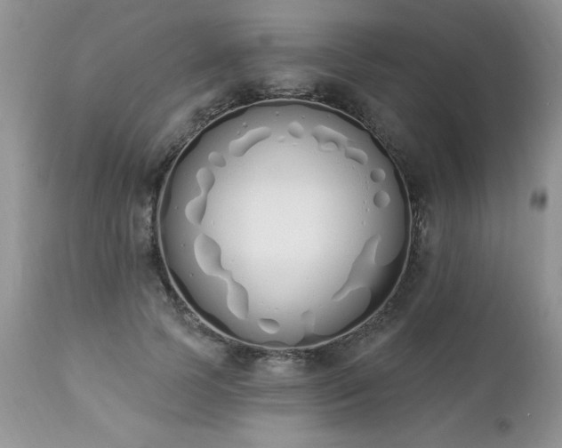 X0000112840745200908211241