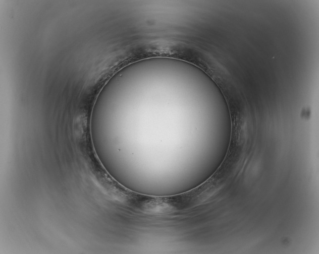 X0000112840747200908211241