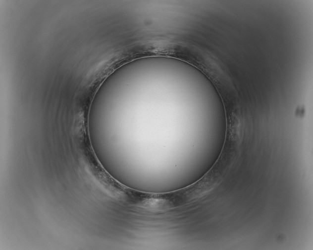 X0000112840748200908211241