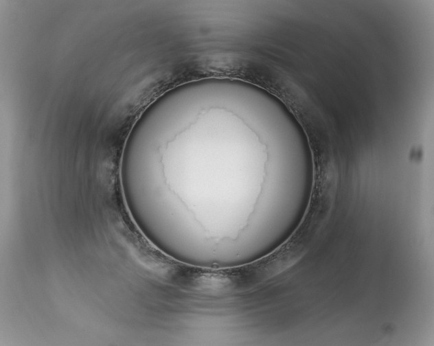 X0000112840749200908211241