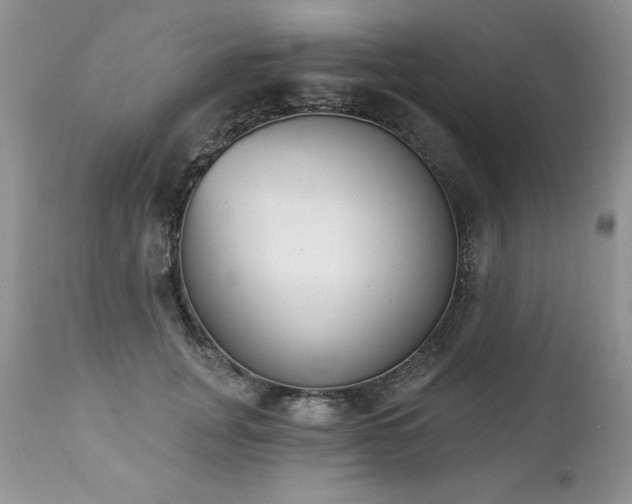 X0000112840751200908211241