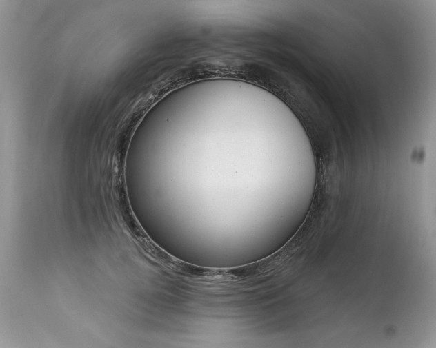 X0000112840752200908211241