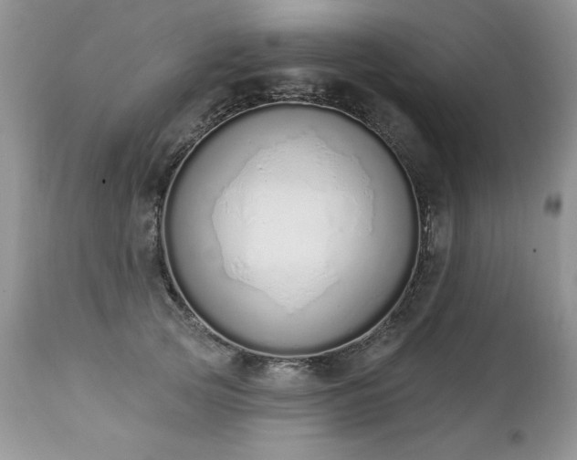 X0000112840753200908211241