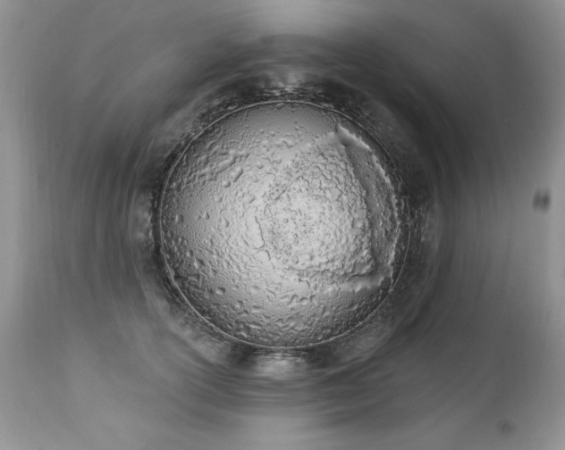 X0000112840754200908211241